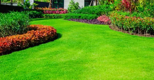 Landscaped yard